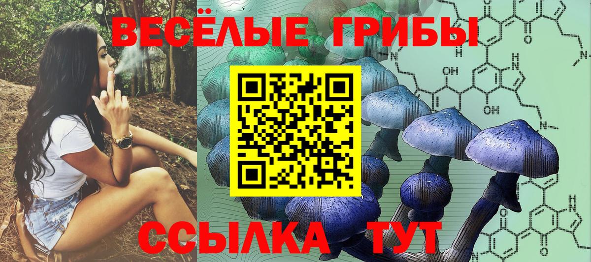 Галлюциногенные грибы GOLDEN TEACHER Костомукша
